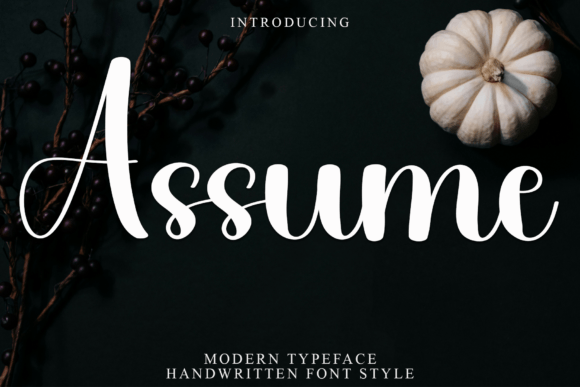 Assume: A Warm Font for Branding That Feels Personal