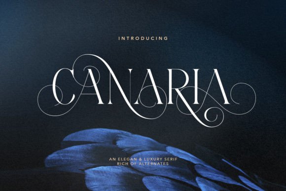 Canaria: A Serif Font for Editorial Design and Content Creation