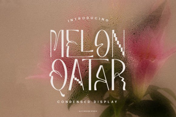 Melon Qatar Sans Serif Font for Modern Branding