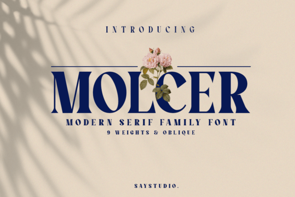 Molcer Serif Font for Modern Web Design
