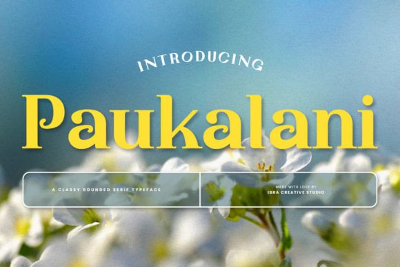 Paukalani: A Timeless Serif Font for Handmade Creations