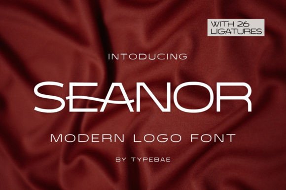 Seanor: A Modern Sans Serif Font for Editorial Design