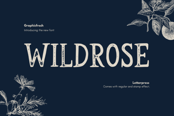 Wildrose: A Vintage Serif Font for Modern Campaigns